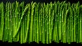 Natural background of fresh and ripe green asparagus. A delicious quality vegetarian product. Healthy organic eating. Vegetables