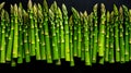 Natural background of fresh and ripe green asparagus with water drops. A delicious quality vegetarian product.