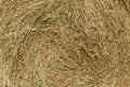 Natural background of hay Royalty Free Stock Photo