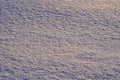 Natural background - ice surface of snow illuminated by the rays of the evening sun. Royalty Free Stock Photo