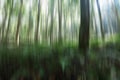 Natural background illustration. Blurry image of trees and the lights in green, black and white motion colors. Vertical line view