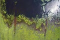 natural background lake in the steppe fragment. green shore and water, abstract fragment nature aerial Royalty Free Stock Photo