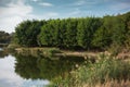 Natural background of nature landscape. Reflection of forest trees in lake. Sunny day with blue  sky. Royalty Free Stock Photo