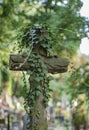 Cross gravestone entwined with ivy