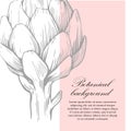 Natural background. Organic botanical design template. Hand drawn Vector illustration of artichoke