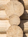 Natural background pattern of a log wall Royalty Free Stock Photo