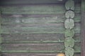 Natural background pattern of a wooden weathered log wall, painted into green Royalty Free Stock Photo