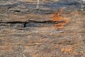 Natural background. Texture of slate stone layers with rusty pattern