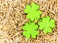 Natural background set of oats base of brewing with felt leaves of clover festive card patricks