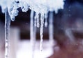 Natural background with shiny transparent icicles hanging from the roof on a spring Sunny day Royalty Free Stock Photo