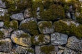 Natural background with stone and moss