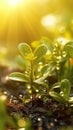 Natural background with two curls of plants and 1690446102006 4