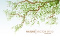 Natural background. Vector grunge. Tree branch with green leaves Royalty Free Stock Photo