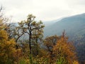 natural background background view from the mountain to the forest below, nature of Russia Royalty Free Stock Photo