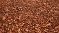 Natural background view on wood chips Royalty Free Stock Photo