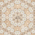 Natural background with white flowers mandala isolated in color background