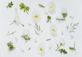 Natural background with white wild rose flowers Royalty Free Stock Photo