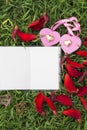 Natural backgrounds and books for sayings with roses, hearts, red ribbons, Valentine`s Day concepts