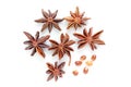 Natural badyan stars condiments with seeds closeup