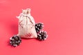 Natural bag with gifts and pine cones on a red background. Royalty Free Stock Photo