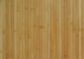 Natural bamboo background