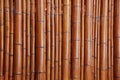 Natural bamboo background Royalty Free Stock Photo