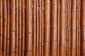 Natural bamboo background