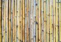 Natural bamboo background Royalty Free Stock Photo