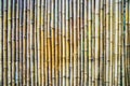 Natural bamboo background Royalty Free Stock Photo