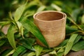 Natural bamboo material supporting zero waste and pollution reduction Royalty Free Stock Photo