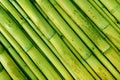 The natural  bamboo texture background Royalty Free Stock Photo