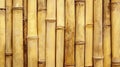 Natural bamboo texture background featuring closely arranged vertical stalks in a linear design Royalty Free Stock Photo