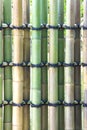 Natural bamboo texture Royalty Free Stock Photo