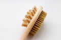 Natural bath brush for cleaning and waching