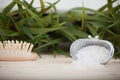 Natural bath salt, organic products on leaves background.