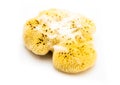 Natural bath sea sponge with soap. Royalty Free Stock Photo