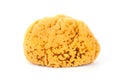 Natural bath sponge Royalty Free Stock Photo