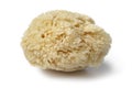 Natural bath sponge Royalty Free Stock Photo