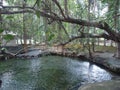 natural bathing place Royalty Free Stock Photo