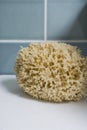 Natural bathroom sponge loofa against teal coloured tiles. Royalty Free Stock Photo