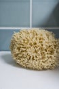 Natural bathroom sponge loofa against teal coloured tiles.