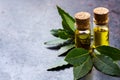 Natural bay laurel essential oil for beauty and spa