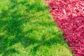 Natural bckground - green grass with hard shadows and red mulch. Gardening concept