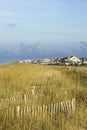 Natural beach area with houses.