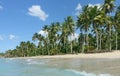 Natural beach, Dominican Republic Royalty Free Stock Photo