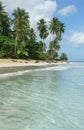 Natural beach, Dominican Republic Royalty Free Stock Photo