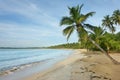 Natural beach, Dominican Republic Royalty Free Stock Photo