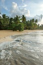 Natural beach, Dominican Republic Royalty Free Stock Photo