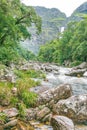 Natural beauties next to Casca D`anta waterfall Royalty Free Stock Photo