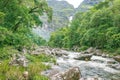 Natural beauties next to Casca D`anta waterfall Royalty Free Stock Photo